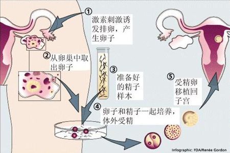 Dr. Zhang